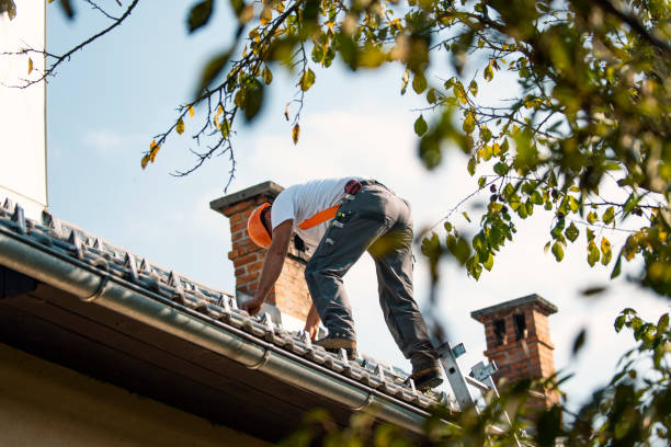 Best Roof Insulation Installation  in Nsfield Center, MA